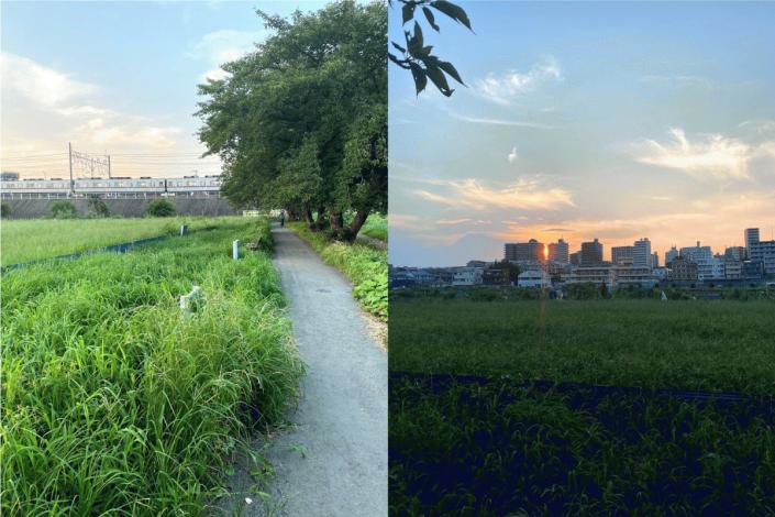 尾崎豊が時折散歩していた朝霞台駅までの黒目川遊歩道からの街の風景