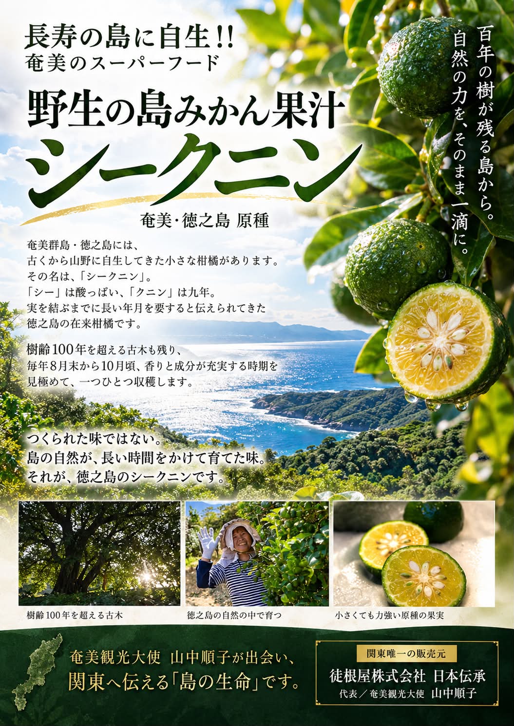 https://shima-choku.com/articles/images/2026100401.jpeg