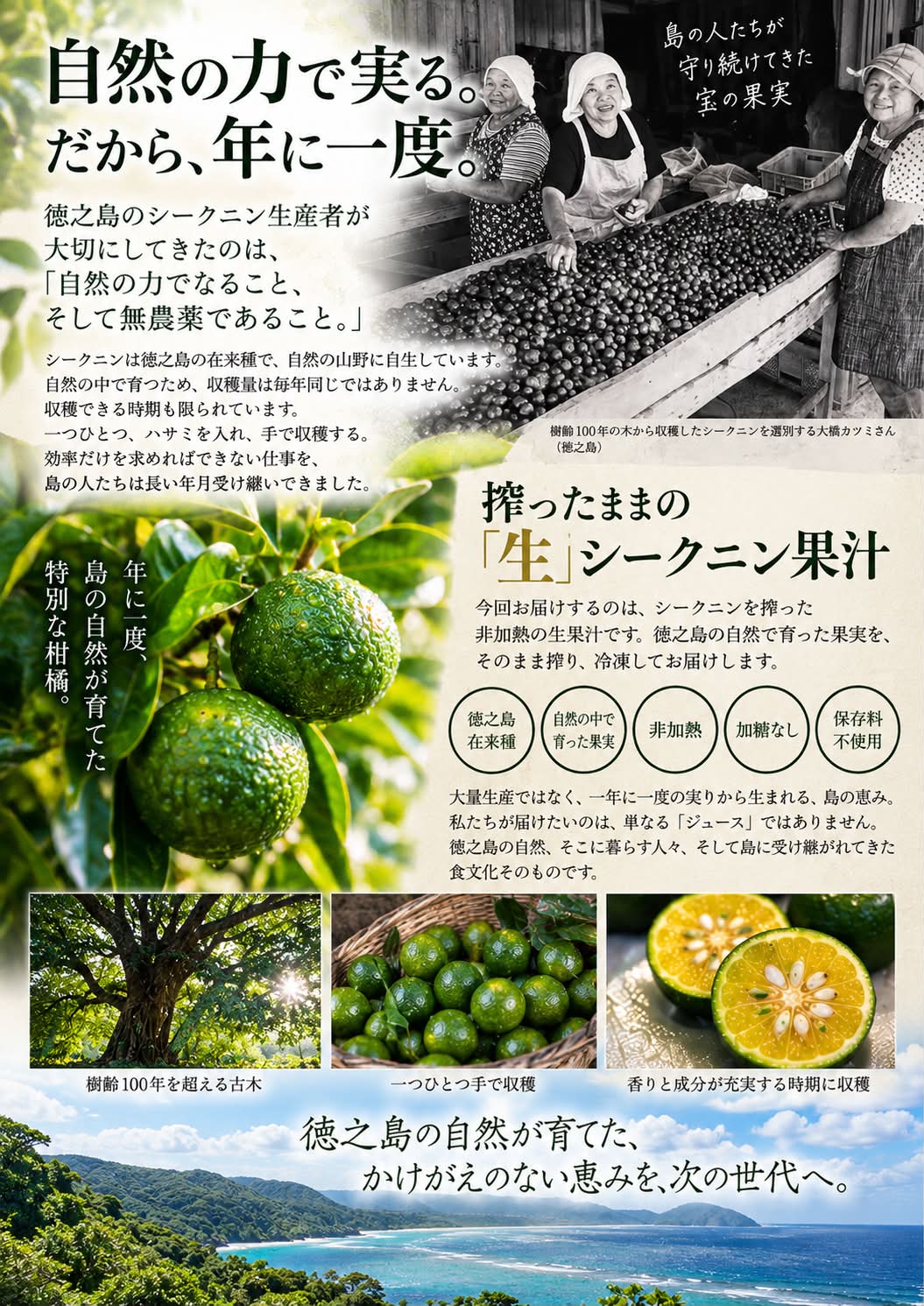https://shima-choku.com/articles/images/2026100402.jpeg